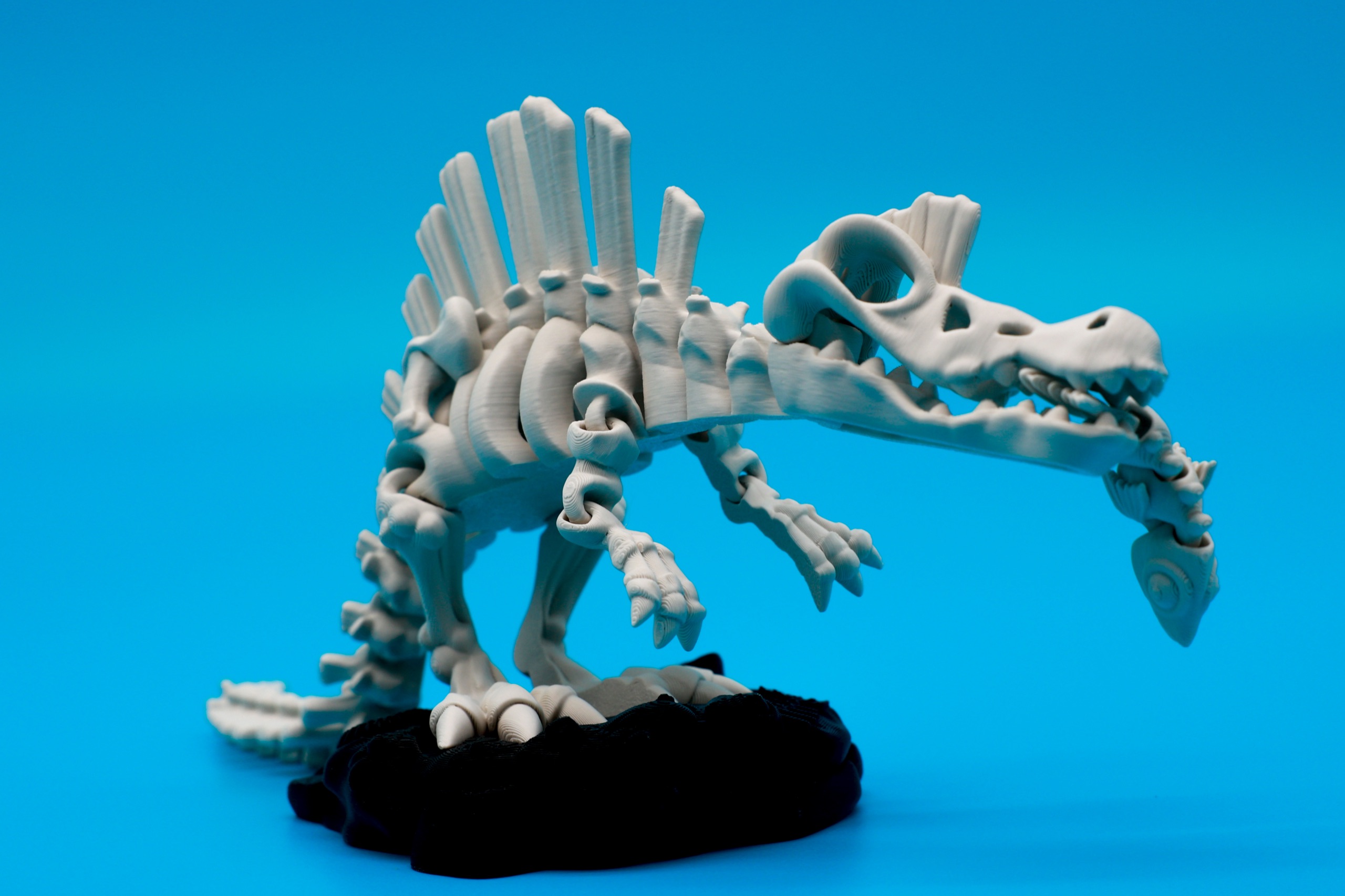 Spinosaurus skeleton print in dramatic light